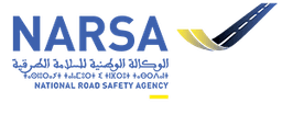 NARSA Logo